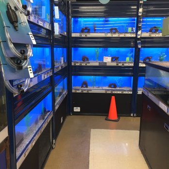 Petco - Pet Stores Near Me - Honolulu, Hawaii
