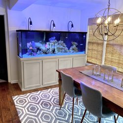 Detroit Aquarium Company