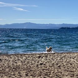 Ski Beach