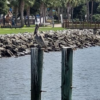 St Simons Island Pier - Fishing Near Me - Saint Simons, Georgia St Simons Island Pier - Fishing Near Me - Saint Simons, Georgia