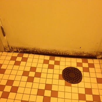 Mike's Cafe - Mold in ladies bathroom - American Near Me - Englewood, Colorado Mike's Cafe - Mold in ladies bathroom - American Near Me - Englewood, Colorado