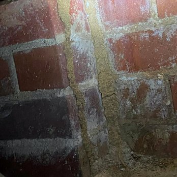 Deep Ellum Pest Services - Pest Control Near Me