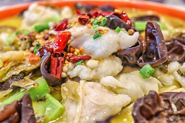 Fish With You 鱼你在一起 by null