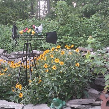 Kettell's Greenhouse - Black eyed Susan, - Nurseries & Gardening Near Me - Falls, Pennsylvania Kettell's Greenhouse - Black eyed Susan, - Nurseries & Gardening Near Me - Falls, Pennsylvania