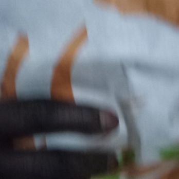 Taco Bell - Good - Tacos Near Me - Enola, Pennsylvania