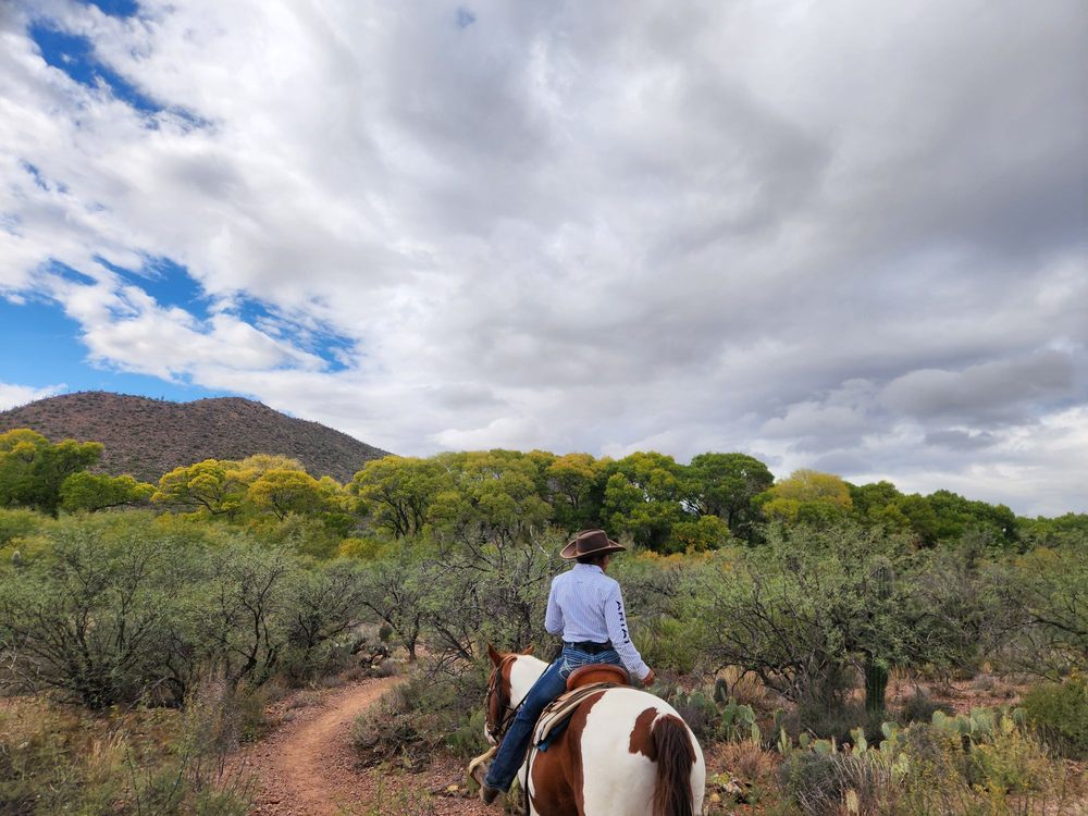 Boomerang Riding Adventures Logo
