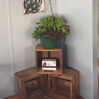 Plant House Nursery - Going to hand it in the living room :) but a beautiful arrangement of succulents for only $10 - Nurseries & Gardening Near Me - El Cajon, California Plant House Nursery - Going to hand it in the living room :) but a beautiful arrangement of succulents for only $10 - Nurseries & Gardening Near Me - El Cajon, California