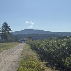 Livingston Mountain Blueberry Farm