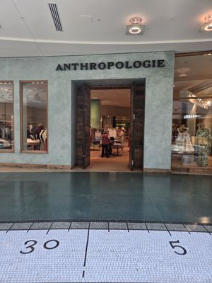 Anthropologie by null