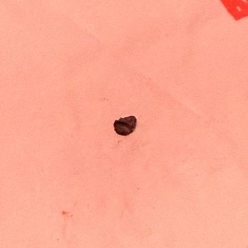 Benihana - This was in my rice which - Sushi Bars Near Me - Downey, California
