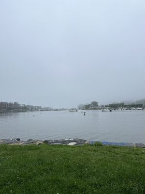 Roger Sherman Baldwin Park by null