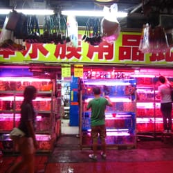 光暉水族用品批發