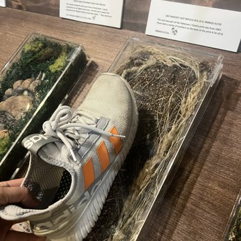 Bigfoot Enterprises - Museums Near Me - Cloudcroft, New Mexico