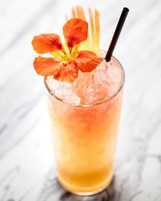 Library of Distilled Spirits by null