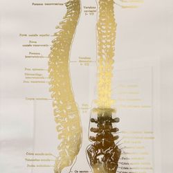 Kalra Brain & Spine