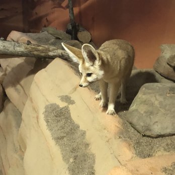 Tulsa Zoo - Zoos Near Me - Tulsa, Oklahoma