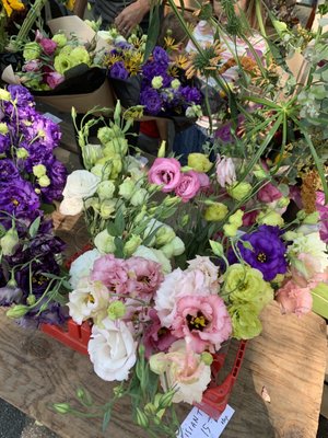 Portland Farmers' Market by null