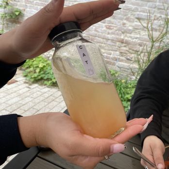 Bearcat CBD - Drink - Coffee & Tea Near Me - New Orleans, Louisiana