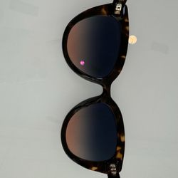 Eyeglass Express - Hinge fixed