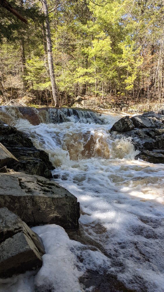 REYNOLDS FOREST Updated May 2024 10 Photos Dinsmore Rd, Sidney