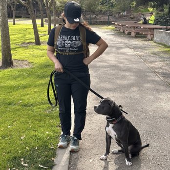 Fur Real K9 - Pet Training Near Me Fur Real K9 - Pet Training Near Me