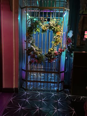 Darling Aviary by null