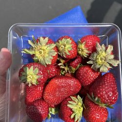 Derwood Farmers Market - Fresh strawberries ($8)