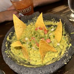 user provided Chihuahua photo