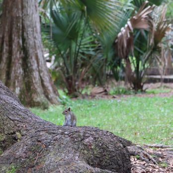 Howell Park - Parks Near Me - Atlantic Beach, Florida