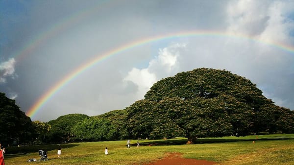 Moanalua Gardens by null
