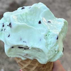 Weezy’s Ice Cream - Mint ice cream