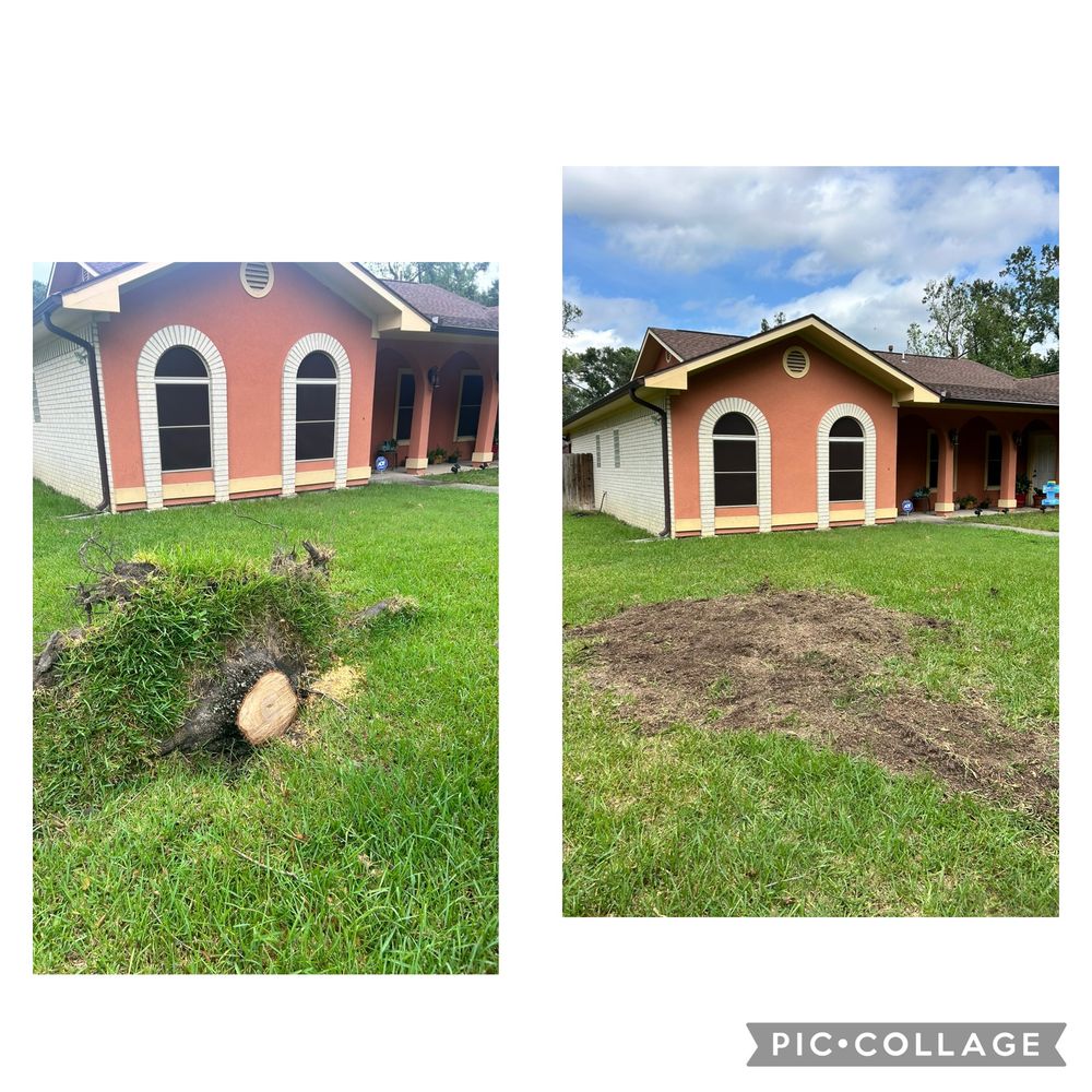 JGB Stump Grinding  - tree service in Houston, TX