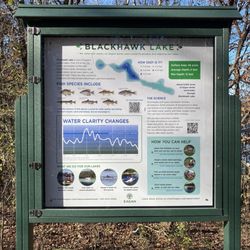 Blackhawk Park - Info on fish