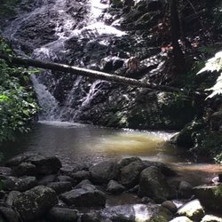Las Cabañas Doña Juana - Cerca del Bosque Toro Negro