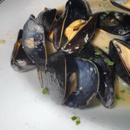 Mussels Mussels