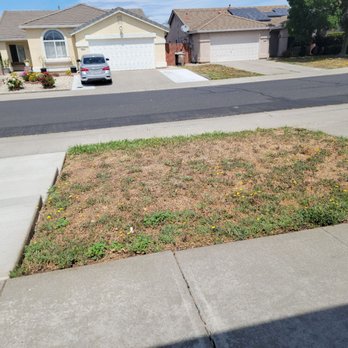 Bella Turf and Greens - Before - Artificial Turf Near Me - Lodi, California Bella Turf and Greens - Before - Artificial Turf Near Me - Lodi, California