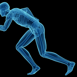 Life Quality Chiropractic