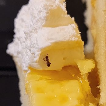 Red Ribbon Bakeshop - a close up of a piece of cake - Bakeries Near Me - Union City, California