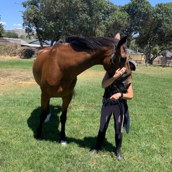 kfi showjumping - Horse Boarding Near Me - San Marcos, California