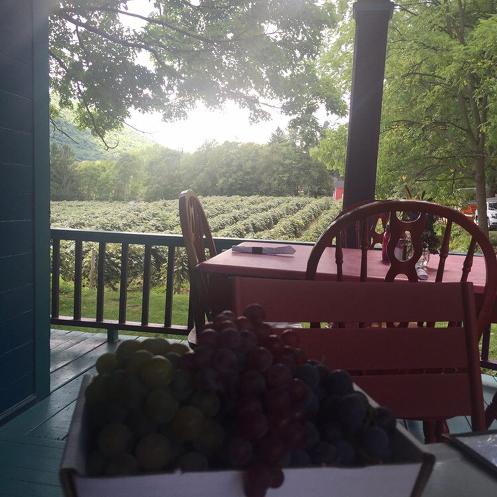 Roots Cafe - view from the patio - New American Near Me - Naples, New York Roots Cafe - view from the patio - New American Near Me - Naples, New York