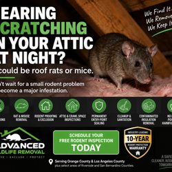 Advanced Wildlife Removal - Rat & mouse removal, rodent proofing and exclusion in Orange & Los Angeles Counties. Free inspections and a 10-year warranty.