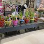 Photo of Sheridan Nurseries Scarborough