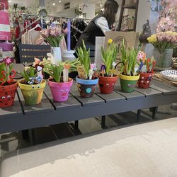 Sheridan Nurseries Scarborough