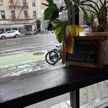 Coffee Haus - Coffee & Tea Near Me - New York, New York