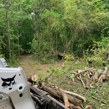 Do It All Landscaping - a pile of wood in the woods - Landscaping Near Me
