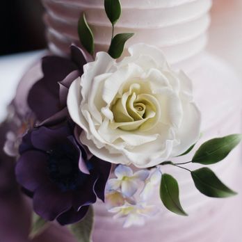 Honey Crumb Cake Studio - Custom Cakes Near Me - Seattle, Washington Honey Crumb Cake Studio - Custom Cakes Near Me - Seattle, Washington