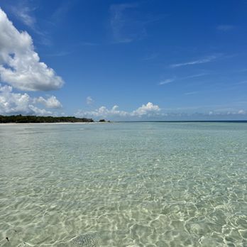 Brightwild Adventures - Boat Tours Near Me - Key West, Florida
