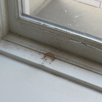 Hôtel Place d'Armes - Mysterious blood-like mess on the windowsill that was invisible to housekeeping. And badly peeling paint. :( - Hotels Near Me - Montreal, Quebec Hôtel Place d'Armes - Mysterious blood-like mess on the windowsill that was invisible to housekeeping. And badly peeling paint. :( - Hotels Near Me - Montreal, Quebec