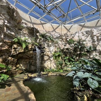 San Antonio Botanical Garden - Botanical Gardens Near Me - San Antonio, Texas