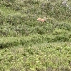 Glenbow Ranch Park Foundation